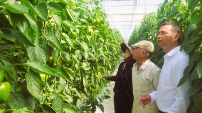 Membuka aliran modal untuk pertanian, kawasan luar bandar dan petani di wilayah Lam Dong.