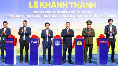 GELEX mang điện lưới quốc gia tới 194 hộ dân vùng cao trước Tết Nguyên đán