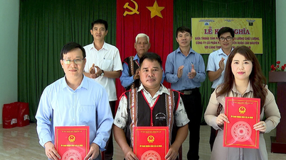 Gia Lai: Membangun hubungan desa kembar untuk mendukung pembangunan desa Yom dan meningkatkan kehidupan masyarakatnya.