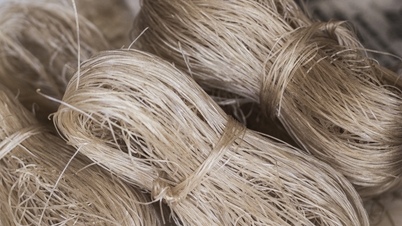 As famosas aldeias produtoras de vermicelli na capital estão fervilhando de atividade com a aproximação do Tet.