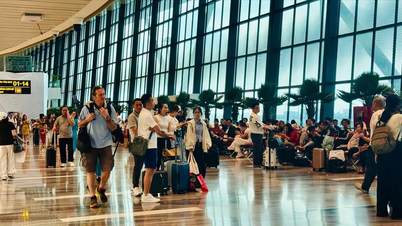 Hoy, 7 de febrero, el aeropuerto de Tan Son Nhat gestionó 915 vuelos con 135.000 pasajeros.
