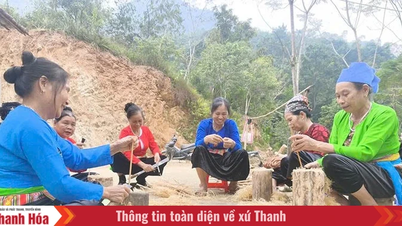Thach Quang face un progres în restructurarea economică.
