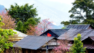 ゲアン省西部の「屋根」に春が到来。