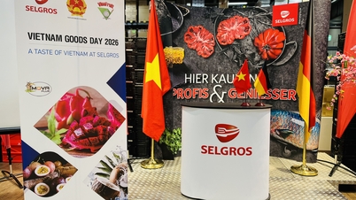 “Ngày hàng Việt Nam” tại siêu thị Selgros, CHLB Đức