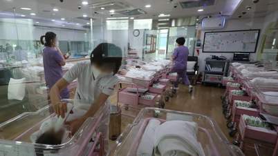 ベトナム、韓国の地区リーダーによる「女性の輸入」発言に抗議。