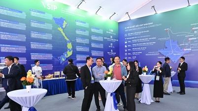 VSIP Nam Định – “Cú Hích Xanh” tại cửa ngõ Nam Đồng bằng sông Hồng