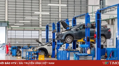 ベトナムで約5,700台の車両を調査した結果、電気自動車はガソリン車に比べて優れた耐久性を示していることがわかった。