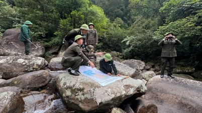 Conservación de especies y hábitats en Quang Nam Chau