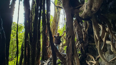 Hutan purba yang mengelilingi air terjun di desa Á.