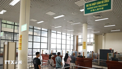 Quang Ninh: Establishing a "shield" to prevent Nipah flu outbreaks at Mong Cai International Border Gate.