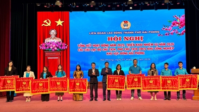 Consolidarea capacității funcționarilor sindicali de la nivel local în zona industrială estică a orașului Hai Phong.