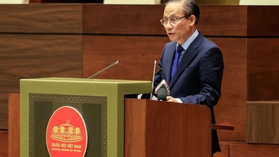 Außenminister Le Hoai Trung erläutert den Inhalt der außenpolitischen Leitlinien des 14. Parteitags.