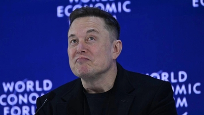 Elon Musk warns of a 1,000% US default: The AI ​​gamble and 3 survival havens.