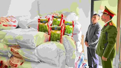 Las autoridades desmantelaron una red que producía y vendía arroz falsificado bajo la marca "Thơm Lài Sữa".