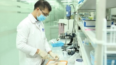 El Ministerio de Salud ha anunciado la última lista de 27 instalaciones de pruebas de seguridad alimentaria.