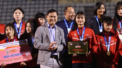 Phong Phu Ha Nam vinner det nasjonale U19-mesterskapet for kvinner, mens Ho Chi Minh City-laget lider et comeback-tap i finalen.