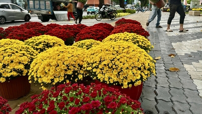 Las flores de Tet de todas las regiones de Vietnam muestran su belleza en el corazón de la ciudad de Ho Chi Minh.
