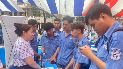 Dari 34 lembaga pendidikan kejuruan di Kota Ho Chi Minh, manakah yang telah memperoleh akreditasi kualitas?