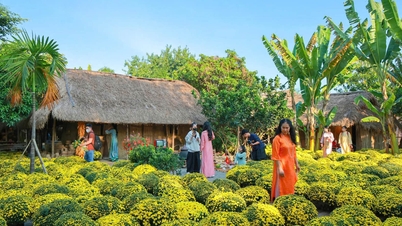 Traditional Tet (Vietnamese New Year) in the rhythm of modern life.