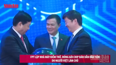 [Video] FPT mendirikan pabrik pengujian dan pengemasan chip semikonduktor pertama yang dimiliki oleh warga Vietnam.