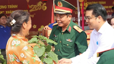 Conmovedora muestra de solidaridad entre soldados y civiles en la comuna insular de Thanh An durante el Año Nuevo Lunar del Caballo 2026.