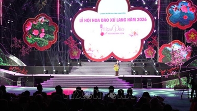 Lang Son Peach Blossom Festival: Bevarande och utveckling av persikoträdens värde.