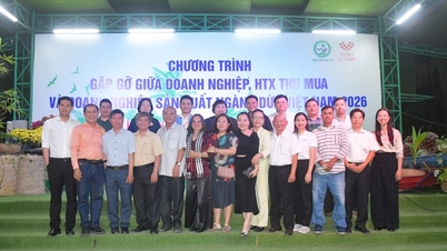 ពង្រឹងការតភ្ជាប់ខ្សែសង្វាក់ផ្គត់ផ្គង់ និងបង្កើនតម្លៃនៃឧស្សាហកម្មដូងរបស់វៀតណាម។
