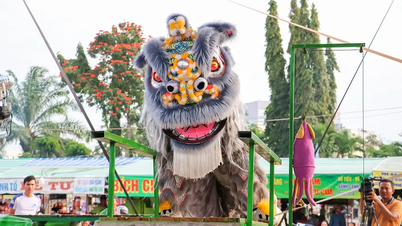 Repere ale Festivalului Extins de Dans al Leului și Dragonului din Can Tho City 2026