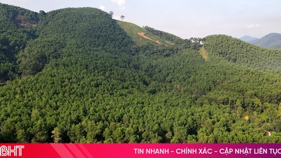 Provinsi Ha Tinh mengubah hampir 18 hektar lahan hutan untuk melaksanakan 2 proyek.