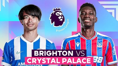 Mérkőzés előzetese: Brighton vs Crystal Palace, február 8., 21:00: A vendégek bizonytalanok.