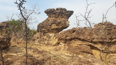 Die einzigartigen uralten Felsformationen in Ninh Thuan sind etwa 18,5 Millionen Jahre alt.