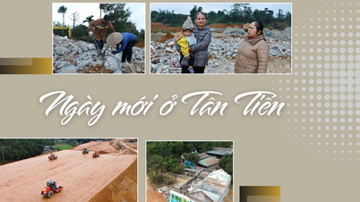 Новый день в Тан Тьен