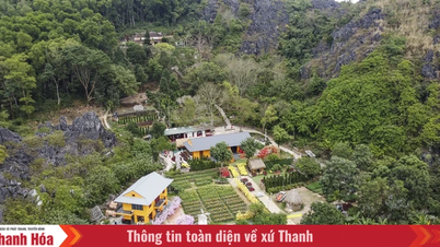 Celebrate Tet 2026 at Tien Son Cave: Dazzling scenery, rich experiences.