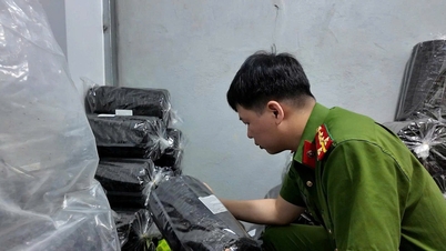 Власти возбудили уголовное дело против преступной группировки, занимавшейся производством и продажей поддельных сушеных морских водорослей.