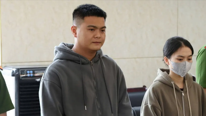 The owner of the company producing fake dried seaweed has been prosecuted.