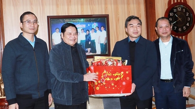 El subsecretario del Comité Provincial del Partido y presidente del Comité Provincial del Frente de la Patria, Ma Thế Hồng, extendió saludos de Año Nuevo a los funcionarios veteranos de la comuna de Phú Linh, del distrito 1 de Hà Giang y del distrito 2 de Hà Giang.