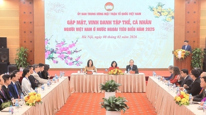 Das Zentralkomitee der Vaterländischen Front Vietnams veranstaltete im Jahr 2025 eine Sitzung, um herausragende im Ausland lebende Vietnamesen zu ehren.
