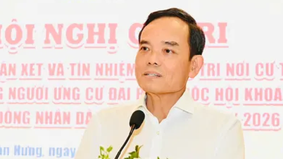 Wyborcy jednogłośnie nominowali sekretarza partii Ho Chi Minh City, Tran Luu Quanga, na kandydata na przedstawiciela Zgromadzenia Narodowego.