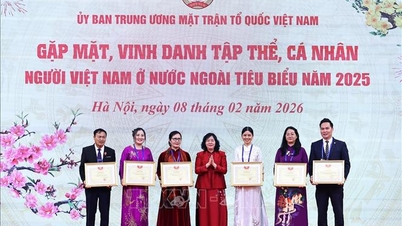 Het Vietnamese Vaderlands Front koestert en waardeert de waardevolle bijdragen van Vietnamese burgers in het buitenland.