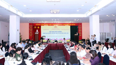 ការលើកកម្ពស់គុណភាពតំណាងស្ត្រី និងជនជាតិភាគតិចនៅក្នុងរដ្ឋសភា។