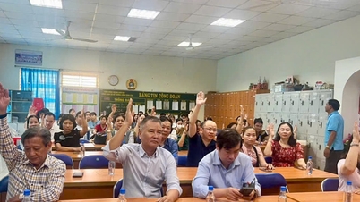100% dintre alegătorii din zona sa rezidențială și-au exprimat încrederea în candidatura dnei Le Nu Thuy Duong pentru funcția de reprezentantă a Adunării Naționale și a Consiliului Popular.