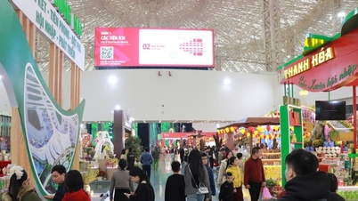 Sunday - People excitedly shop for Tet (Lunar New Year) at the Spring Fair.