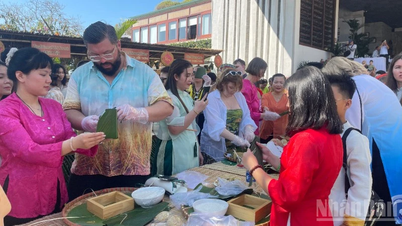লাম ডং: আন্তর্জাতিক পর্যটকরা উৎসাহের সাথে বান চুং (ঐতিহ্যবাহী ভিয়েতনামী চালের কেক) তৈরিতে অংশগ্রহণ করে।