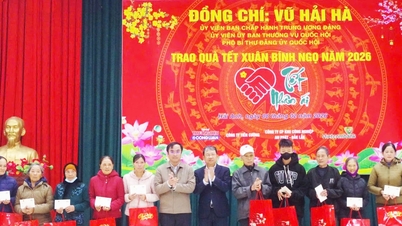 Ulusal Meclis Parti Komitesi Başkan Yardımcısı Vu Hai Ha, Ninh Binh'de Tet hediyeleri takdim etti.