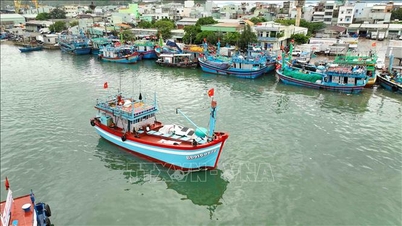 Mengatasi masalah 'kartu kuning' IUU melalui platform manajemen kapal penangkap ikan digital.