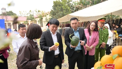 Sorotan Pesta Musim Bunga Komune Phiêng Khoài pada tahun 2026