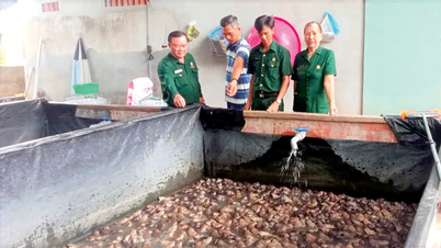 Veteran saling membantu mengurangkan kemiskinan.