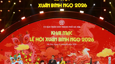 El Festival de Primavera del Año del Caballo 2026 se inaugura oficialmente, trayendo la atmósfera del Tet vietnamita (Año Nuevo Lunar) al corazón de Hanoi.