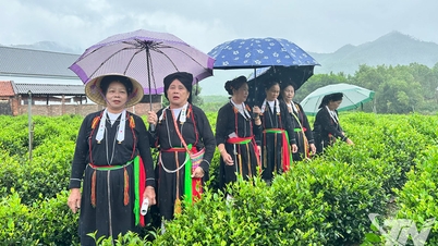 Preserving the spirit of Soọng cô on the tea plantations.