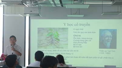 비목재 임산물을 활용한 지속 가능한 생계 수단 조성을 장려합니다.